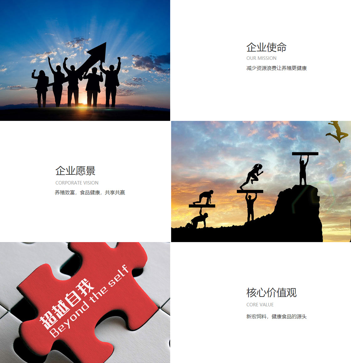 皇博手机登录(图1)